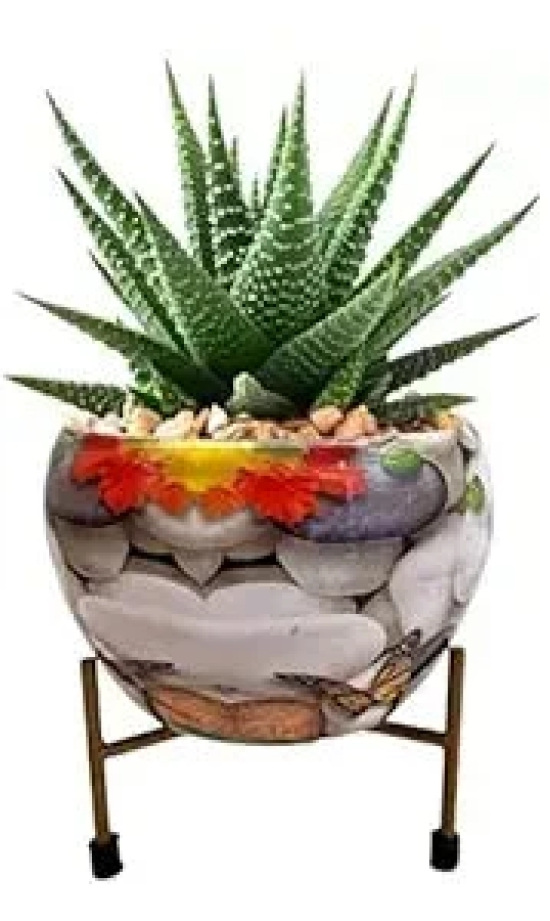 Crest Flower Pot for indoor and outdoor Plant Container-Crest Flower Pot for indoor and outdoor Plant Container