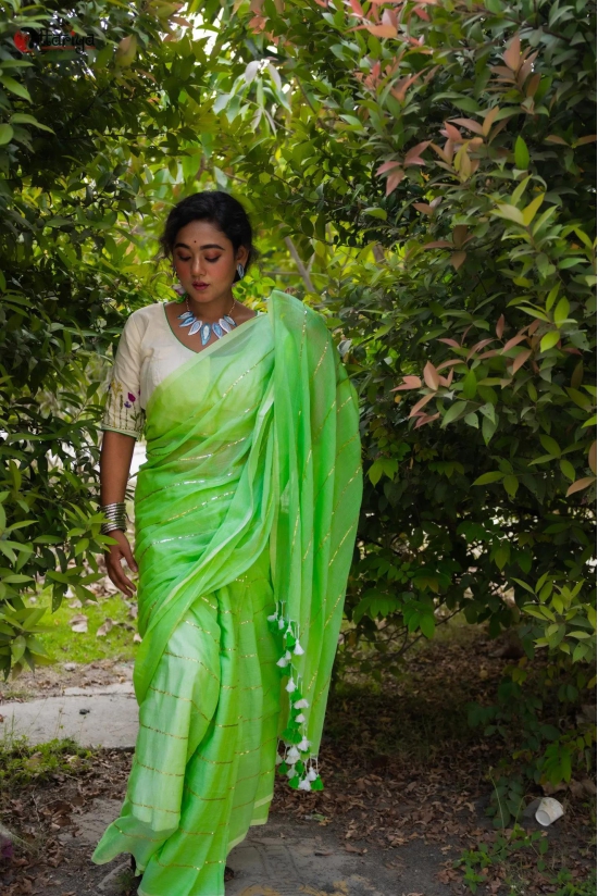 Gulal Saree