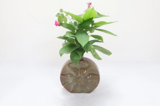 Khurja Pottery Flower Vase Ring Matki Shape Green and Brown Colour  Size 9 Inches