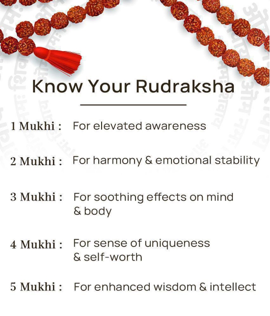 Rudraksha Pooja Mala