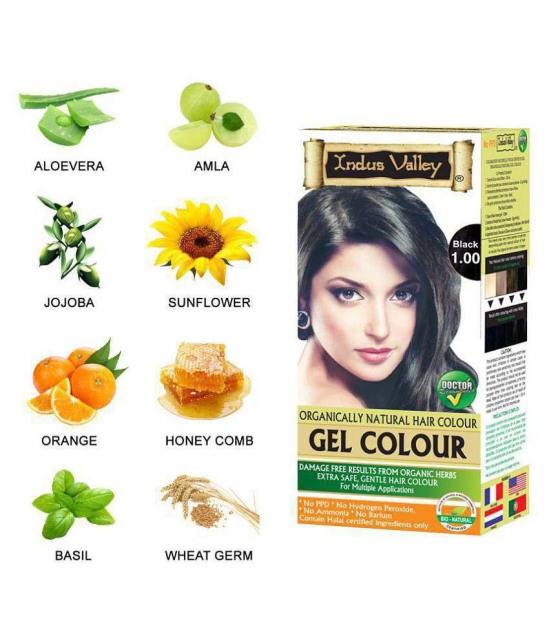 Indus Valley Growout Hair Oil With Gel Natural Permanent Hair Color Black Combo Pack