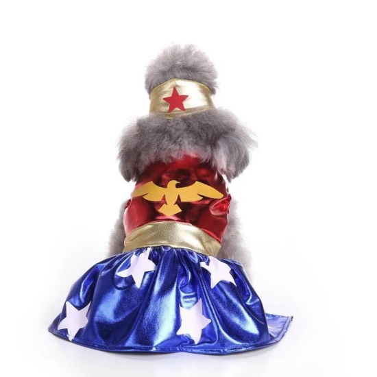 Dog Clothes| Wonder Woman Pet Costume | Sizes and Colours Available| Claws N Paws-XS