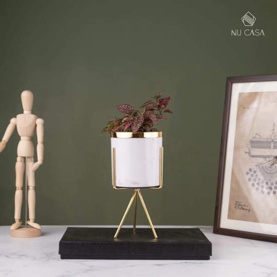 Minimalist Planter