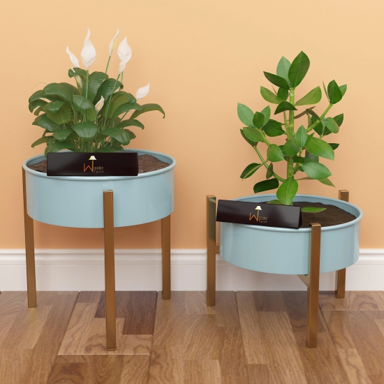 Wooden Twist Modern Champagne Planter Stand (Set of 2)-Blue & Golden