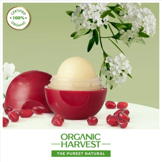 Moisturizing Lip Balm: Pomegranate - 8g