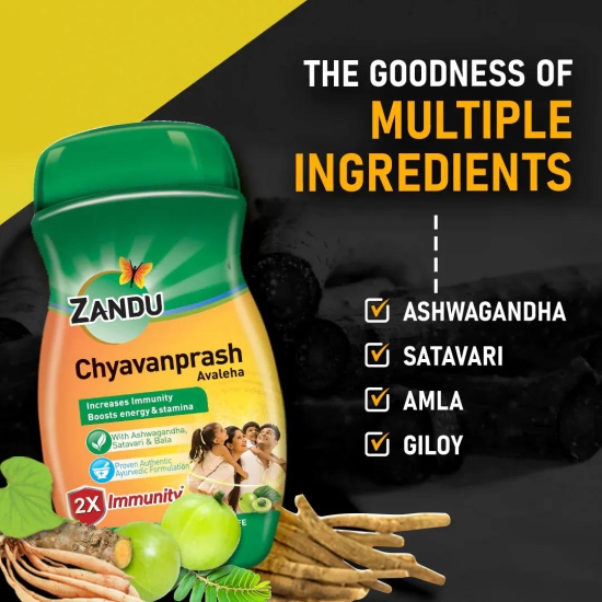 Zandu Chyavanprash Avaleha 450g