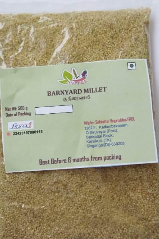 Barnyard Millet