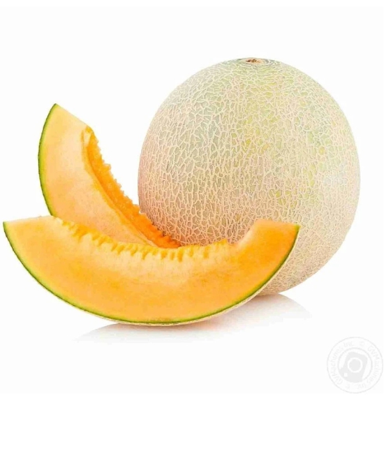 Musk Melon Golden Orange Flesh, Muskmelon Seeds, 30 Kharbuja Seeds