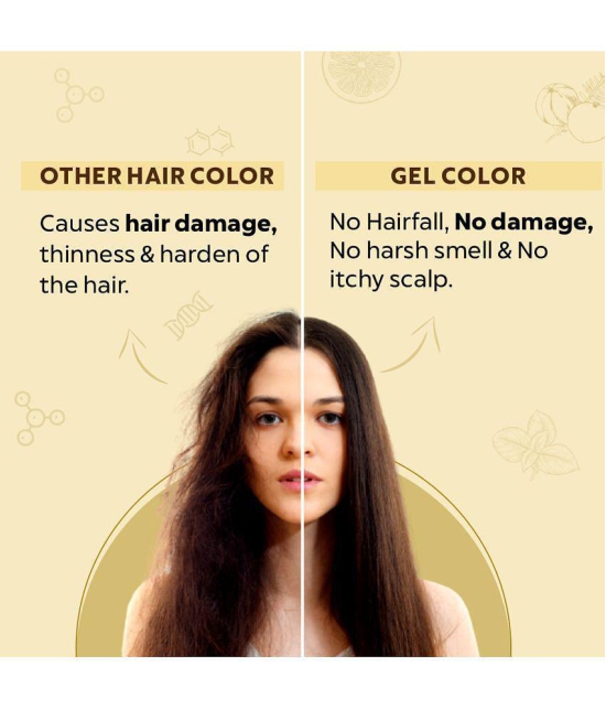 Indus Valley Organically Natural Hair Color No Ammonia Hair Colour, Gel Hair Color Dark Brown 3.00