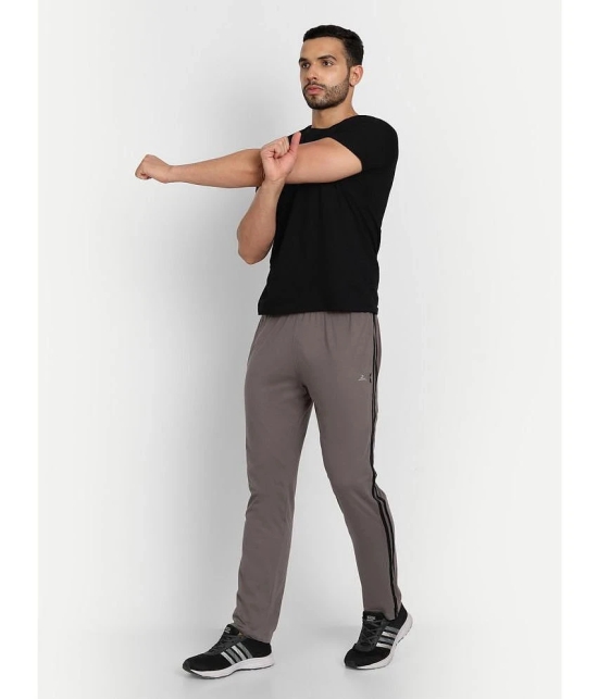 Zeffit - Brown Cotton Blend Mens Trackpants ( Pack of 1 ) - None