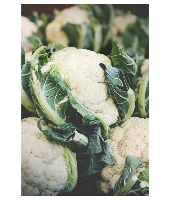 Hybrid Cauliflower Seeds - 50 Seeds Per Pack