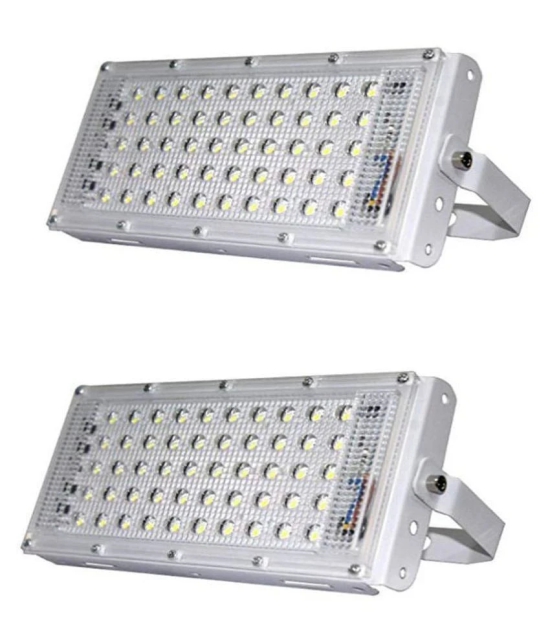 Achat 50 Watts IP 65 Flood Light Cool Day Light - Pack of 2