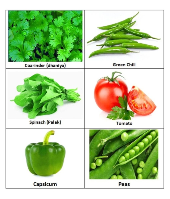 Zonato - Easy Planting - Combo pack of 6 Green Hybrid All Season growing Vegetables {Coriander(Dhaniya), Green Chilli, Spinach (Palak),Tomato, Capsicum & Peas} 1 pack Of more than 200 Seeds