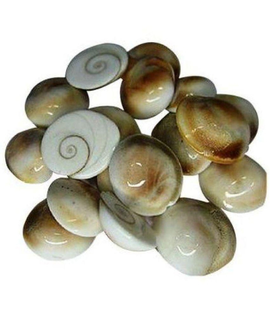 SwadesiBuyzzar - Marble Gomti Chakra (Pack of 1)