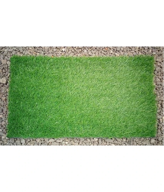 Revexo - Anti-skid Plastic Door Mat ( 40 X 60 cm ) Single - Green - Green