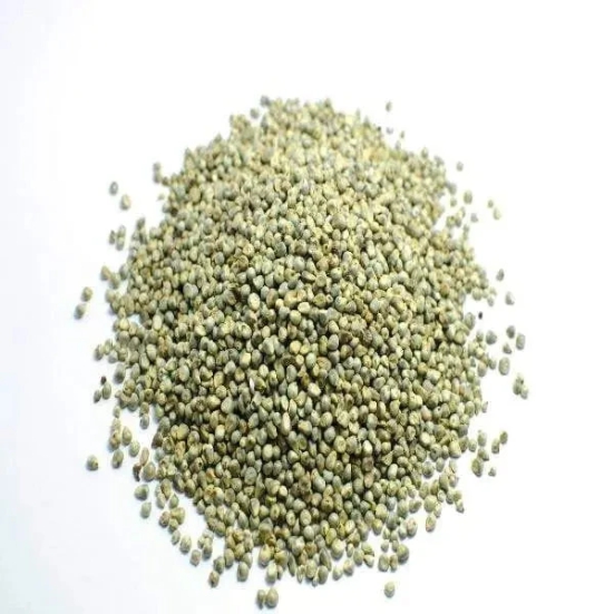 Pearl Millet / ????? /  ????? / Pennisetum glaucum-250 Gms