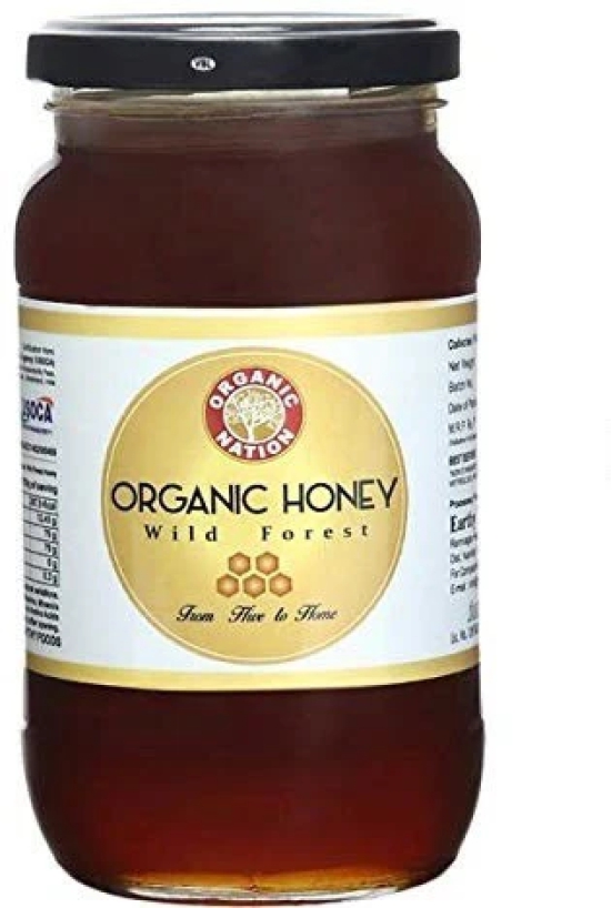 Organic Nation Wild Forest Organic Honey, 500 Gm