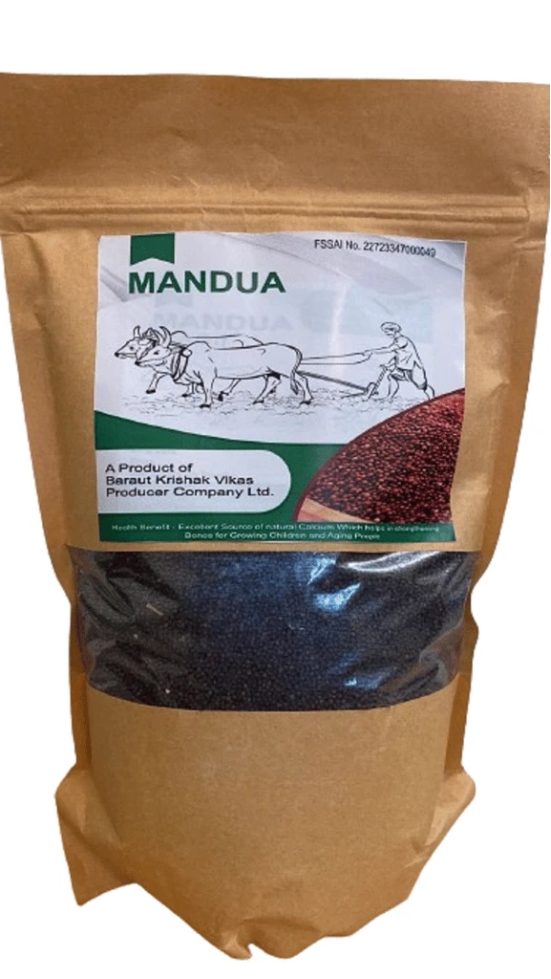 Mandua/ Ragi Seeds (1 Kg) / Finger Millet