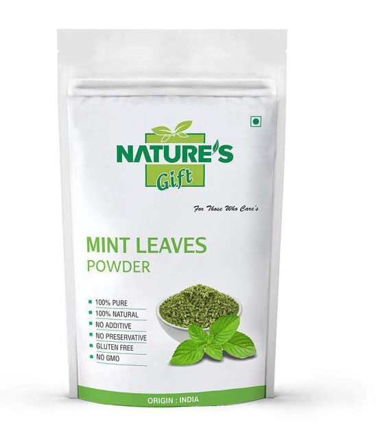 Nature''s Gift - 100 gm Mint Powder (Pack of 1)