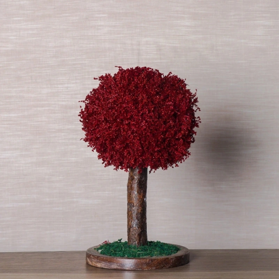 Handmade Bonsai Tree With Sola Flower Arrangement on Wooden Base