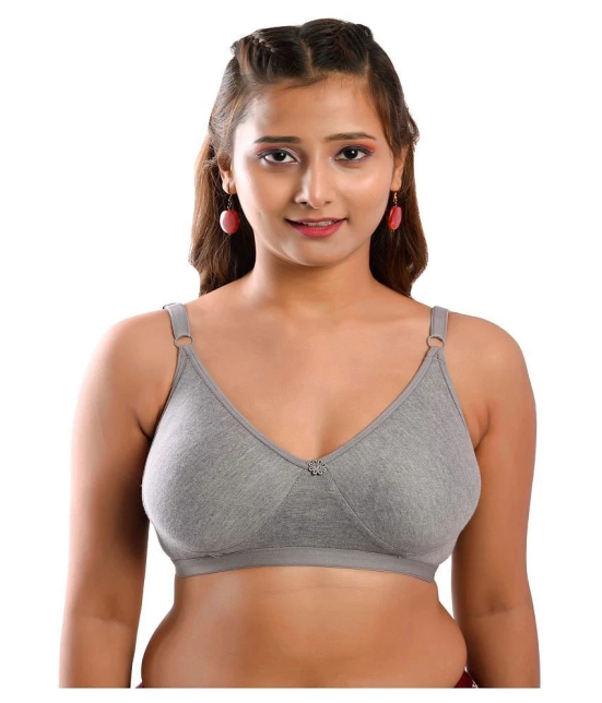 Elina Cotton T-Shirt Bra - Grey Single - 32C