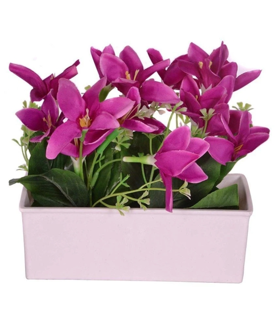 YUTIRITI Lily Purple Flowers With Pot - Pack of 1