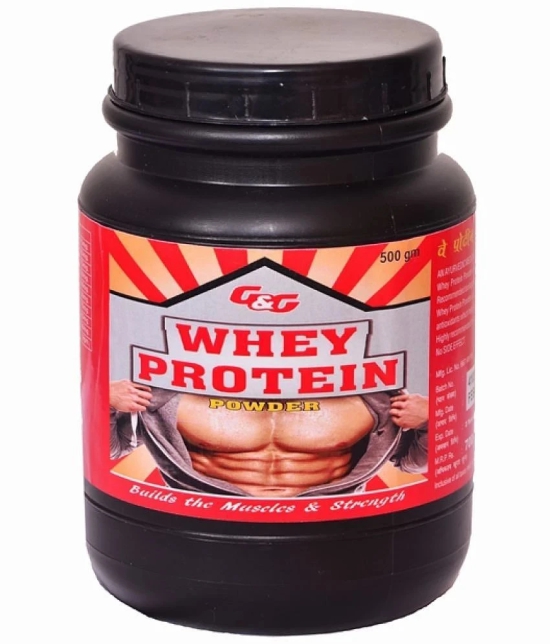 Rikhi Whey Protein Powder 500 gm Chocolate Single Pack