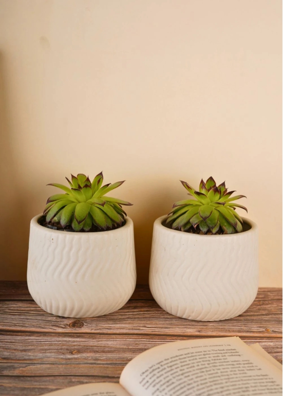 Essential White Planter