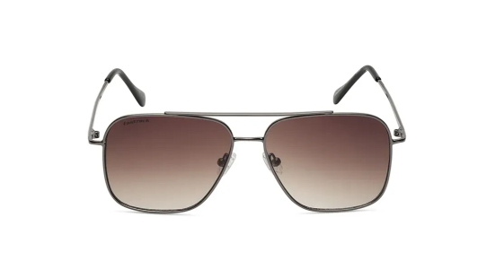 Brown Navigator Rimmed Sunglasses (M253BR4V)