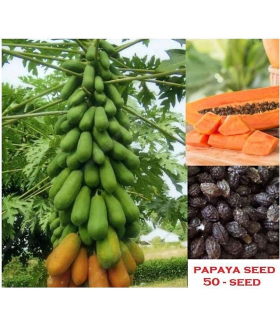 sky star agro & co. - Papaya Fruit ( 50 Seeds )