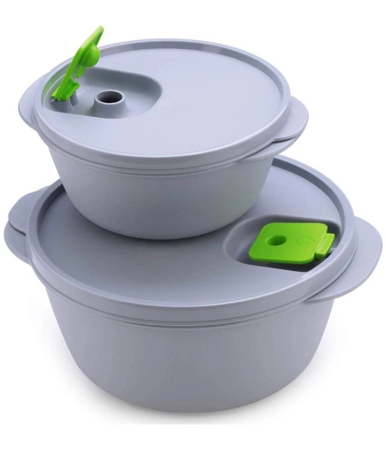 Oliveware Plastic Grey Food Container ( Set of 2 ) - Grey