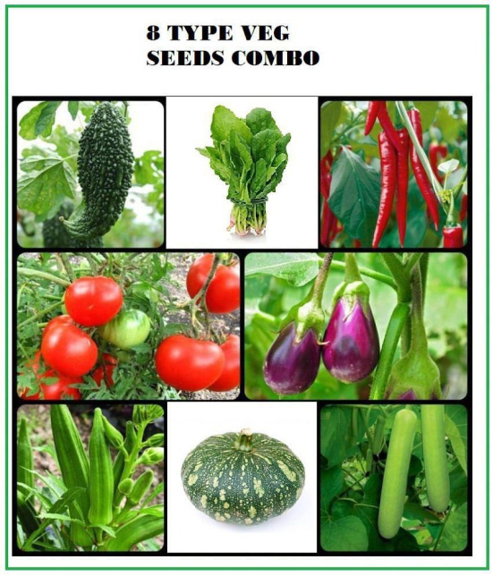 COMBO OF 8 DIFFERENT TYPE VEGETABLE PLANT SEEDS PACK MORE THAN 150 SEEDS PACK  WITH USER manual FOR HOME GARDENUNG USE