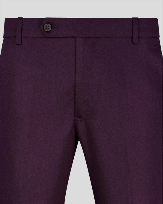 Wine Normal Fit Trousers-32