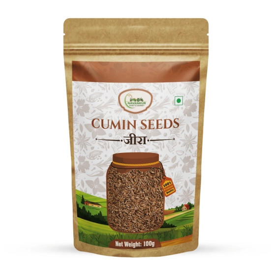 Cumin Seeds (Jeera)