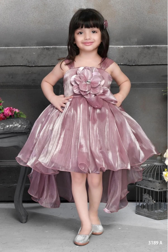 Cutedoll Rose Gold High Low Kids Party Dress-18-24 Month