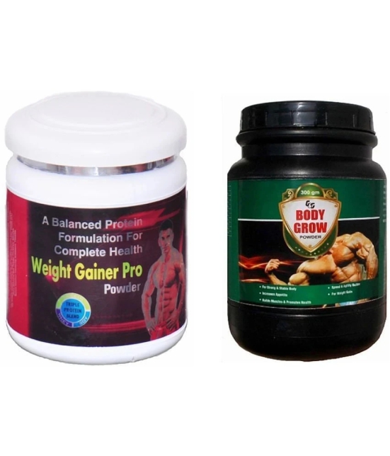 G&G PHARMACY Powder For Weight Gain ( Pack of 2 )