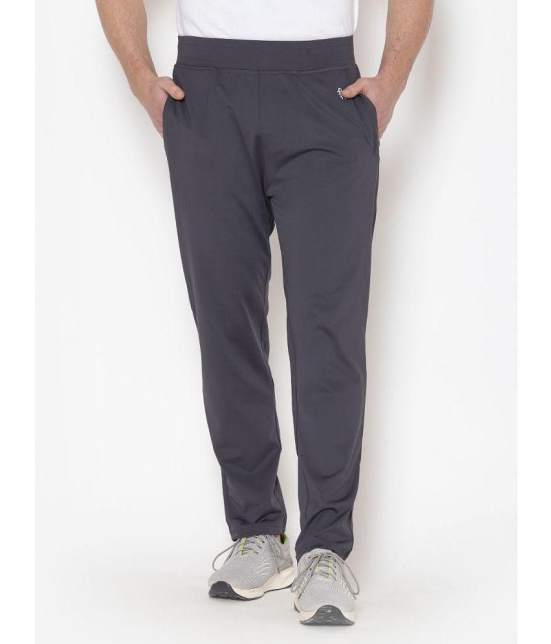 Bonjour - Grey Polyester Mens Trackpants ( Pack of 1 ) - None