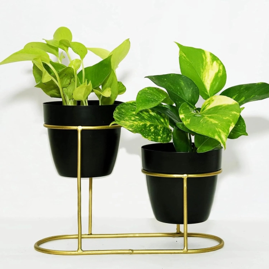 Kuber Industries Planter  Desktop Flower Planter  Balcony Flower Pot  Home Dcor Flowers Pot  Flower Planter for Office Dcor  Double Planter with Golden Stand  1128-A  Black-Kuber Industries Plant