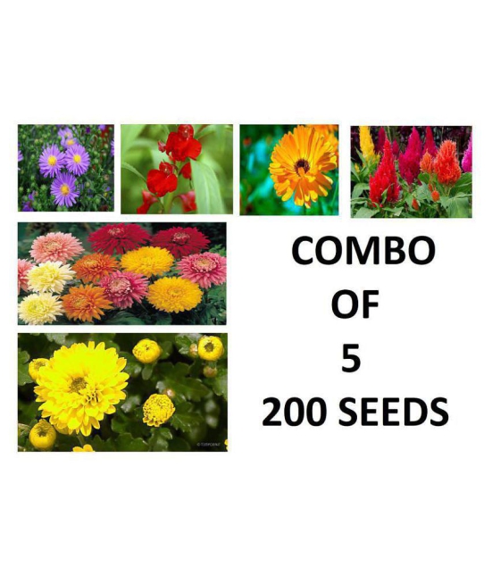 COMBO OF 5 MIX FLOWER SEEDS ASTER BLASAM CLENDULA GULDAWADI AND 2 MOREE