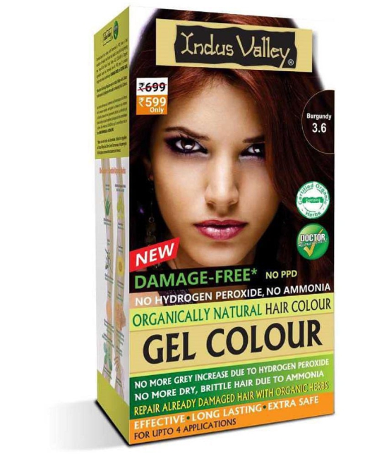 Indus Valley Organically Natural Hair Color No Ammonia Gel Hair Color Burgundy 3.6 , Burgundy