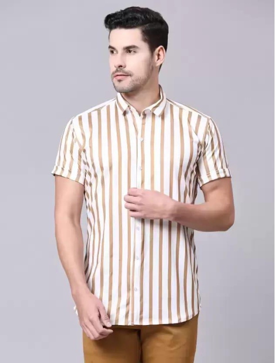Men Regular Fit Striped Casual Shirt