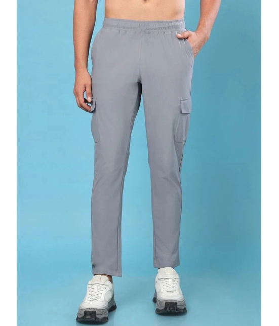 PPTHEFASHIONHUB Grey Lycra Mens Trackpants ( Pack of 1 ) - None