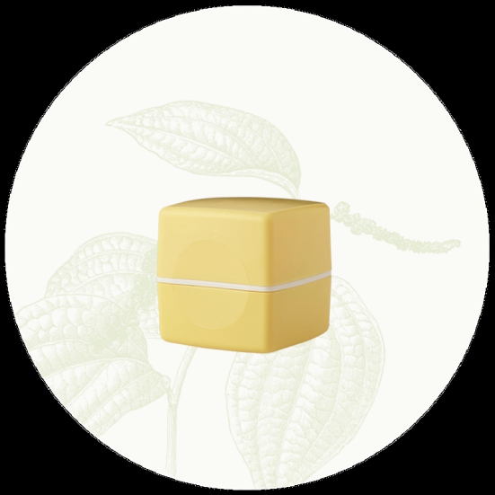 Lemon Lip Balm - 10gm