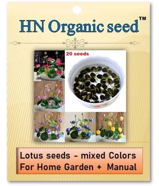 homeagro - Flower Seeds ( Lotus seeds -mixed colours 20 seeds )