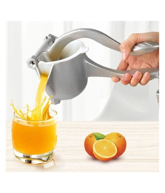 VALLEY GREEN Fruit Hand Juicer Silver Manual Juicer - Silver