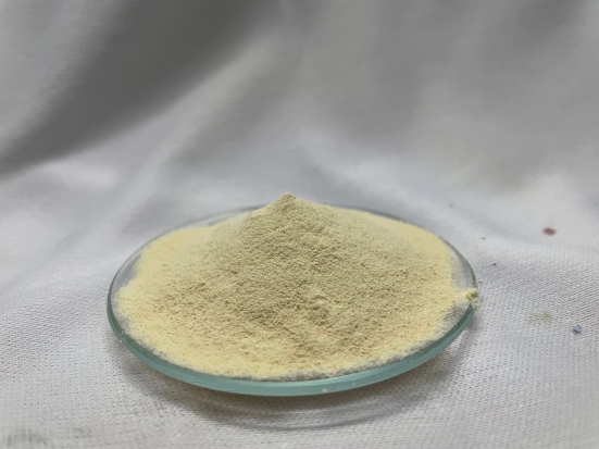 Casein Protein Hydrolysate 75-80%-500GM / Pure