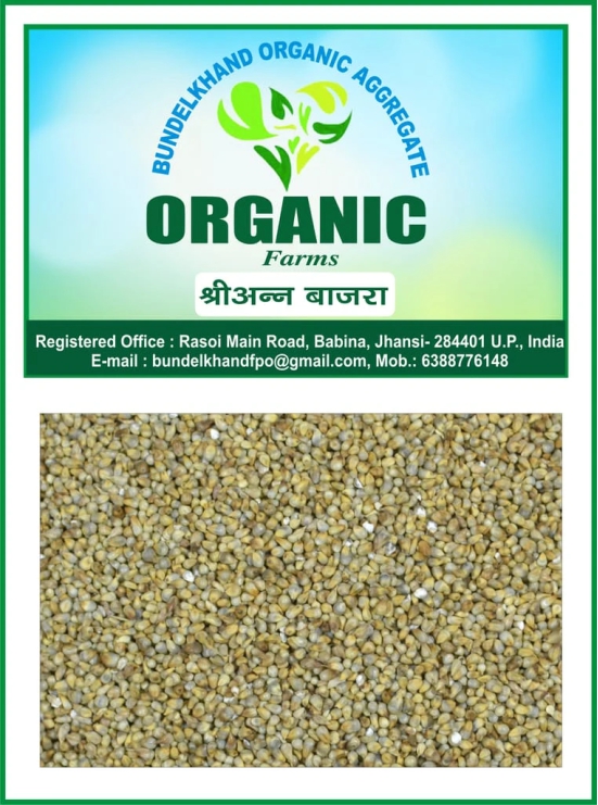 Organic Millets Bajra