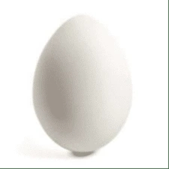 Egg