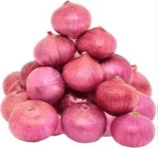 Onion