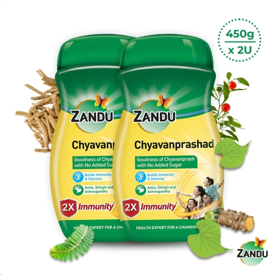 Chyavanprashad 450gPack of 2-450g x 2U